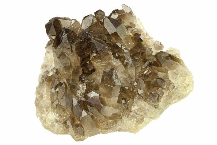 Dark Smoky Quartz Crystal Cluster - Brazil #302180